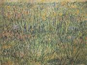Vincent Van Gogh Pasture in Bloom (nn04) oil painting artist